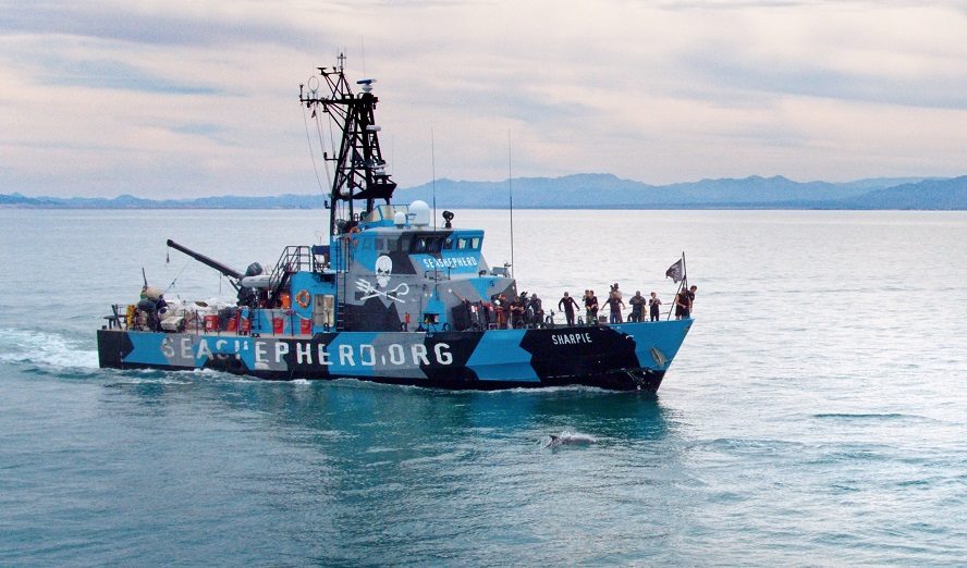 Sea Shepherd © Terra Mater Factual Studios