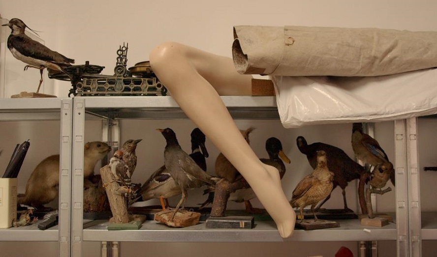 »Dieser Film ist ein Geschenk« © Stadtkino Verleih