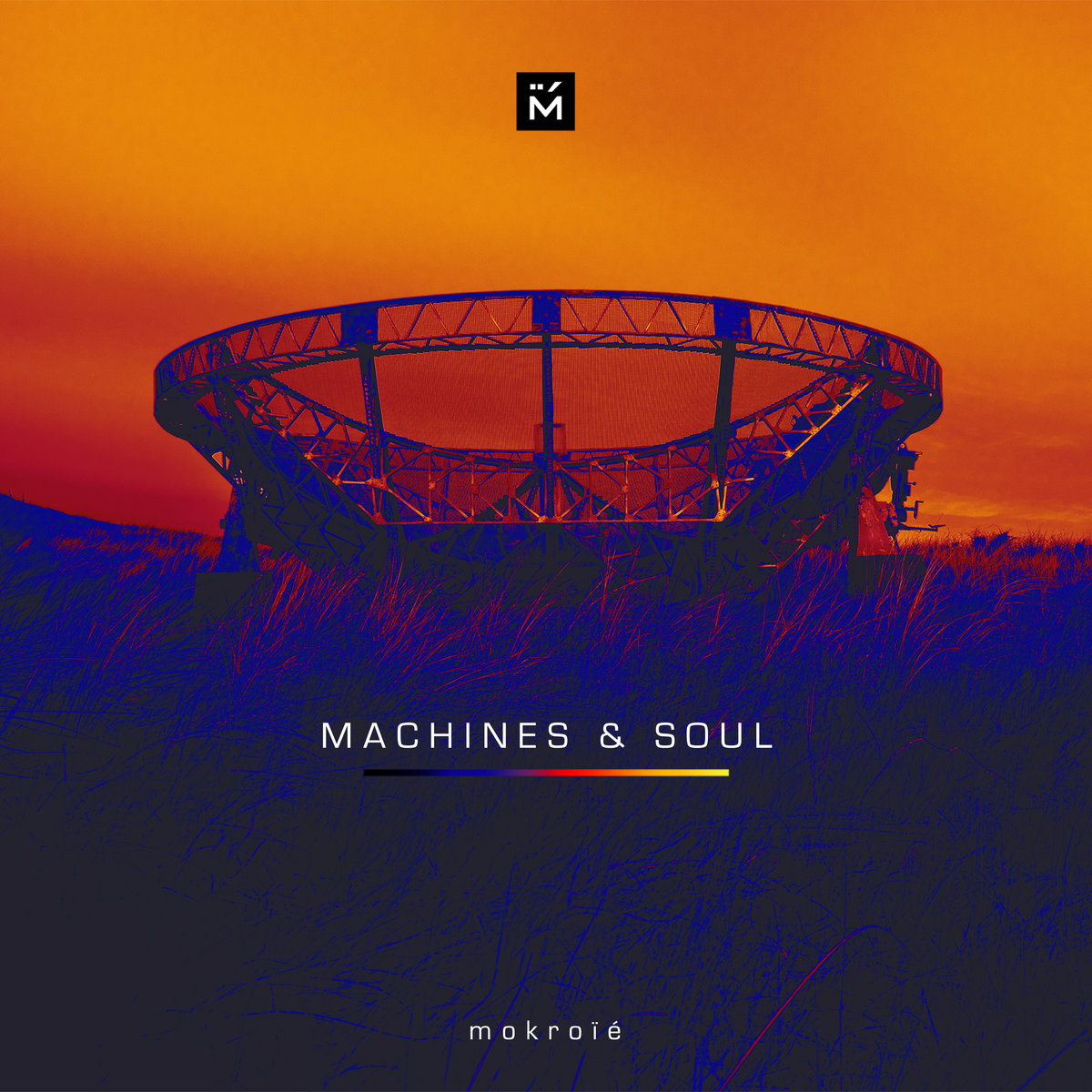 Soul machines