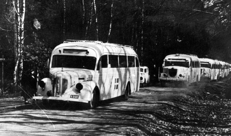 Busse des Dänischen Roten Kreuzes am Ende des Zweiten Weltkriegs. © mit freundlicher Genehmigung des Schwedischen Roten Kreuzes, gemeinfrei
