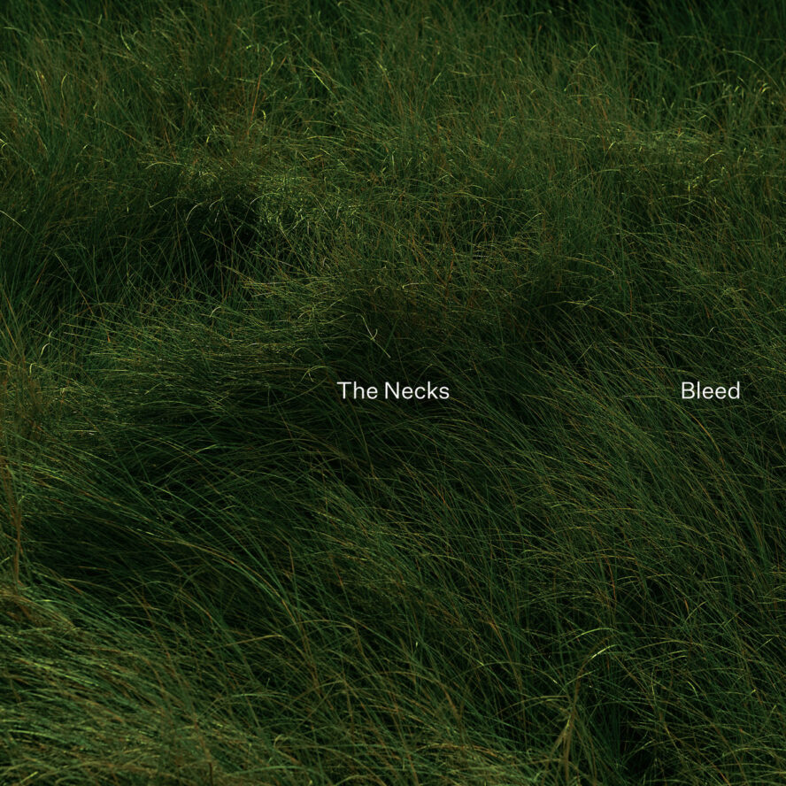 the necks