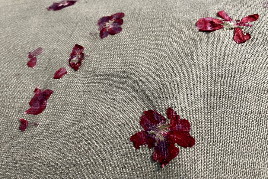 Elena Kristofor, »Wie eine Geranie rot« © Chris Hessle