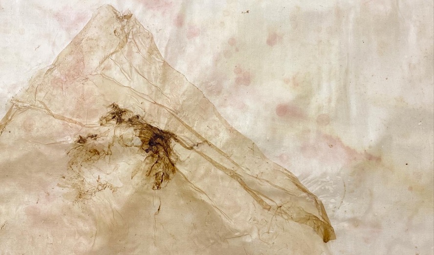 Monica C. LoCascio: »My Grandmother’s Hand« © Anni Kathrin Elmer, Halle13