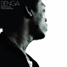 benga_-_diary_of_an_afro_.png